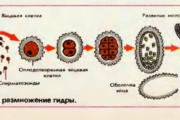 Как зайти в кракен с андроида