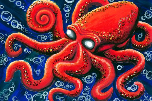 Kraken актуальные зеркала krakentor site