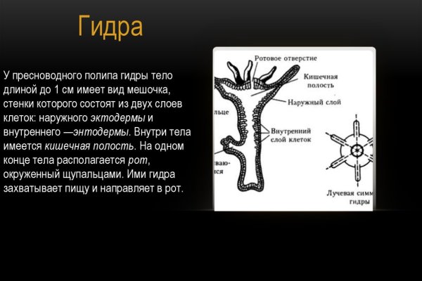 Solaris даркнет