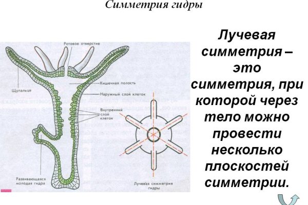 Кракен закладки